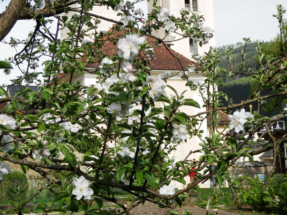 Kronenwirt Gasthof 3*